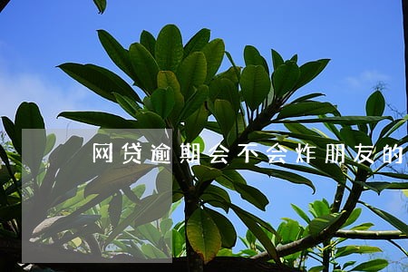 网贷逾期会不会炸朋友的通讯录 网贷逾期会不会炸朋友的通讯录