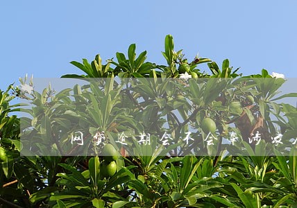 网贷逾期会不会牵涉家人 网贷逾期会不会牵涉家人