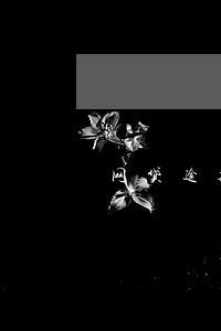网贷逾期会不会给拘留 网贷逾期会不会给拘留