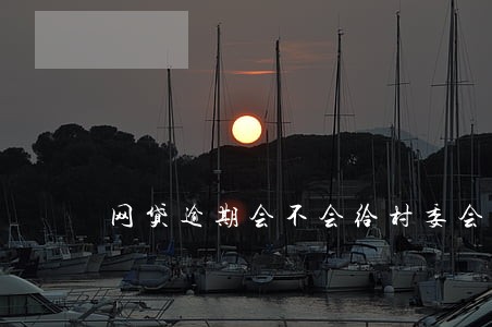 网贷逾期会不会给村委会打电话 网贷逾期会不会给村委会打电话