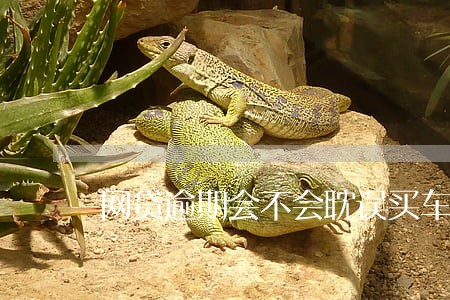 网贷逾期会不会耽误买车