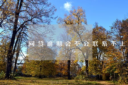 网贷逾期会不会联系不上居委会 网贷逾期会不会联系不上居委会
