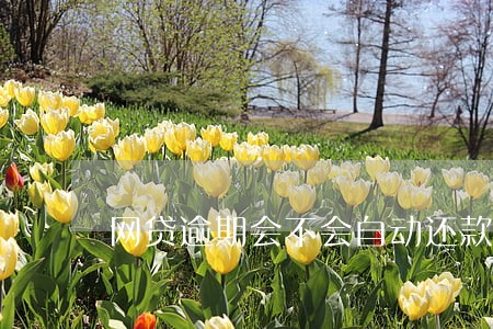 网贷逾期会不会自动还款 网贷逾期会不会自动还款