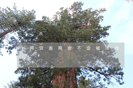 网贷逾期会不会被冻结信用卡 网贷逾期会不会被冻结信用卡