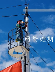 网贷逾期会不会被冻结所有财产 网贷逾期会不会被冻结所有财产