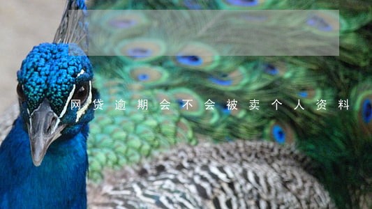 网贷逾期会不会被卖个人资料