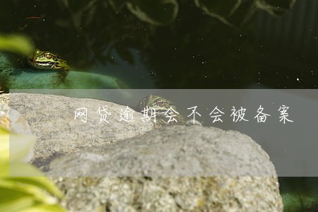 网贷逾期会不会被备案