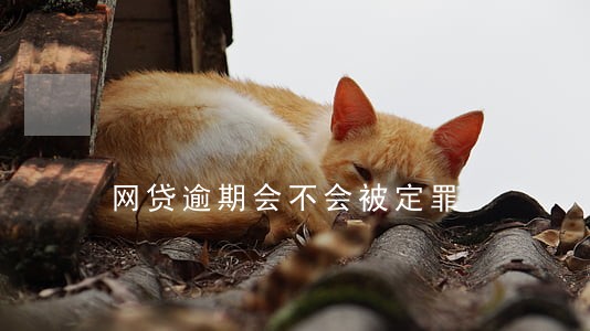 网贷逾期会不会被定罪 网贷逾期会不会被定罪