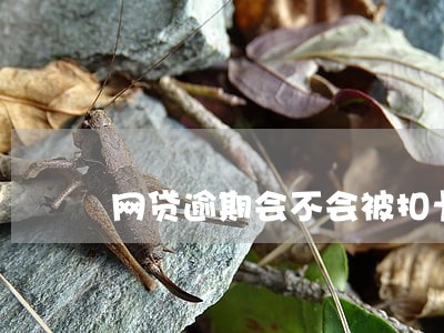 网贷逾期会不会被扣卡里的钱 网贷逾期会不会被扣卡里的钱