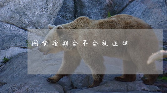网贷逾期会不会被法律 网贷逾期会不会被法律