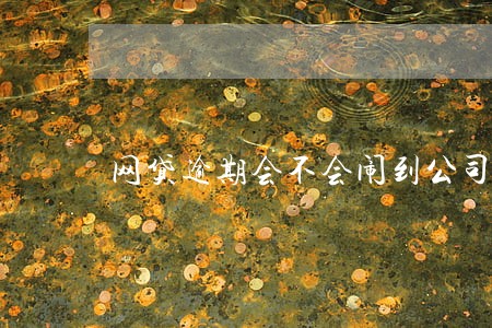 网贷逾期会不会闹到公司 网贷逾期会不会闹到公司