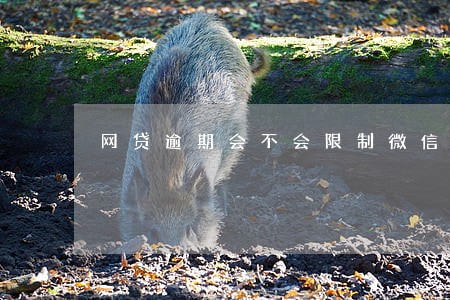 网贷逾期会不会限制微信交易