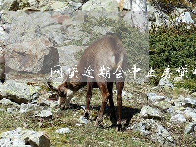 网贷逾期会中止房贷吗 网贷逾期会中止房贷吗