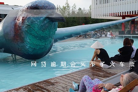 网贷逾期会买不了火车票吗 网贷逾期会买不了火车票吗
