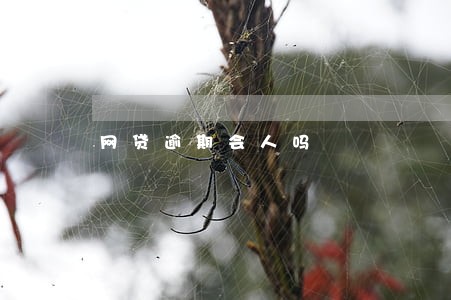 网贷逾期会人吗 网贷逾期会人吗