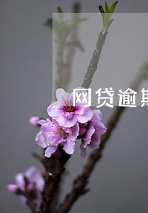 网贷逾期会从其它银行卡扣钱 网贷逾期会从其它银行卡扣钱