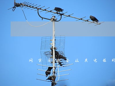 网贷逾期会从其它银行卡里扣钱吗 网贷逾期会从其它银行卡里扣钱吗