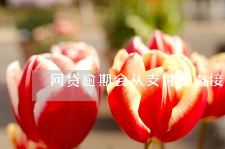 网贷逾期会从支付宝直接扣