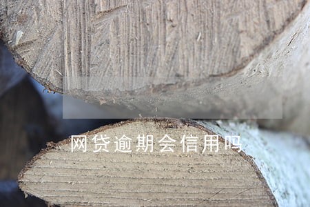 网贷逾期会信用吗 网贷逾期会信用吗