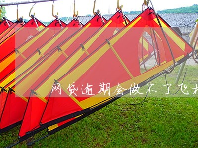 网贷逾期会做不了飞机吗 网贷逾期会做不了飞机吗