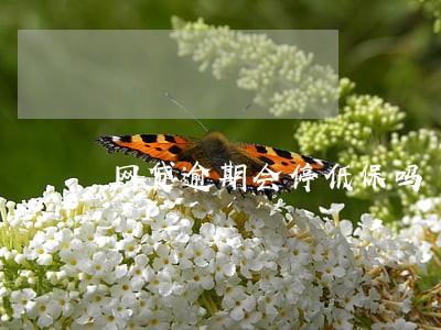 网贷逾期会停低保吗 网贷逾期会停低保吗