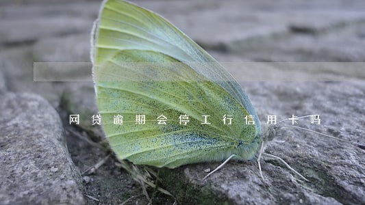 网贷逾期会停工行信用卡吗 网贷逾期会停工行信用卡吗