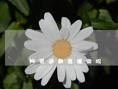 网贷逾期会催缴吗 网贷逾期会催缴吗