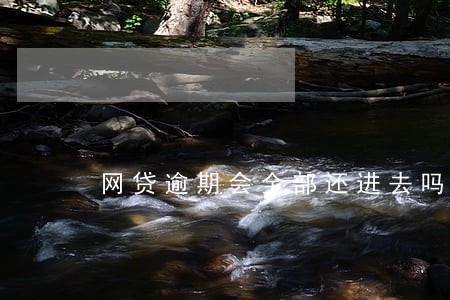 网贷逾期会全部还进去吗 网贷逾期会全部还进去吗