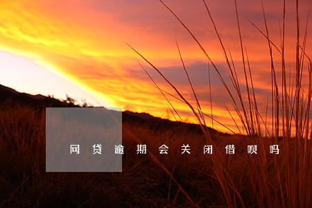 网贷逾期会关闭借呗吗 网贷逾期会关闭借呗吗