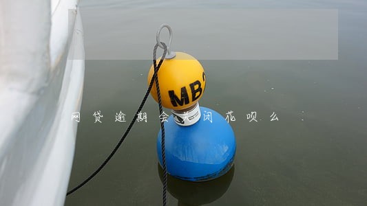 网贷逾期会关闭花呗么