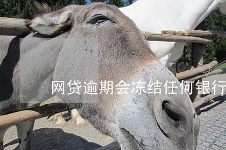 网贷逾期会冻结任何银行卡吗 网贷逾期会冻结任何银行卡吗
