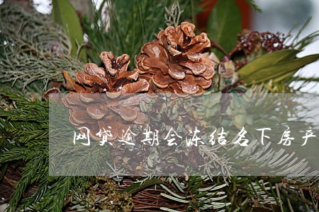 网贷逾期会冻结名下房产吗 网贷逾期会冻结名下房产吗