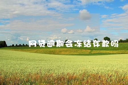 网贷逾期会冻结存款吗 网贷逾期会冻结存款吗