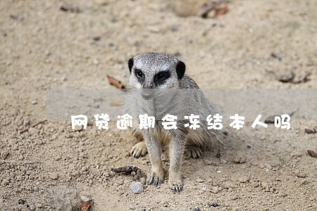 网贷逾期会冻结本人吗 网贷逾期会冻结本人吗