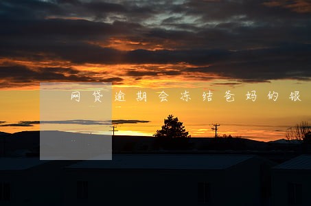 网贷逾期会冻结爸妈的银行卡吗 网贷逾期会冻结爸妈的银行卡吗