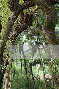 网贷逾期会冻结股票账户吗