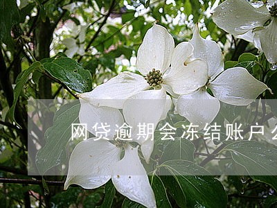 网贷逾期会冻结账户么