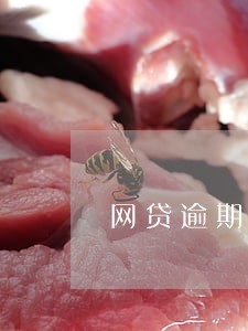 网贷逾期会减芝麻分吗 网贷逾期会减芝麻分吗