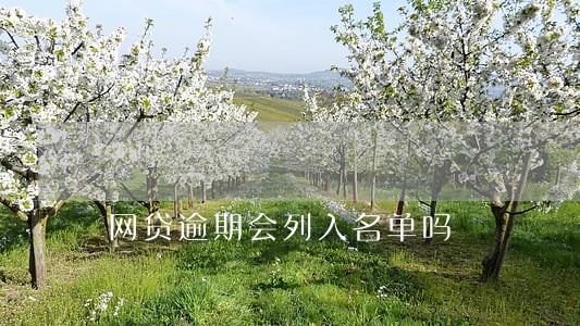 网贷逾期会列入名单吗 网贷逾期会列入名单吗