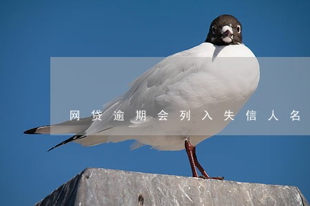 网贷逾期会列入失信人名单吗 网贷逾期会列入失信人名单吗