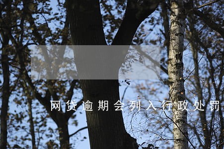 网贷逾期会列入行政处罚吗 网贷逾期会列入行政处罚吗