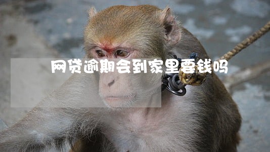 网贷逾期会到家里要钱吗 网贷逾期会到家里要钱吗