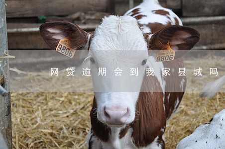 网贷逾期会到我家县城吗 网贷逾期会到我家县城吗