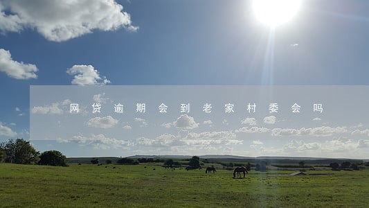 网贷逾期会到老家村委会吗 网贷逾期会到老家村委会吗