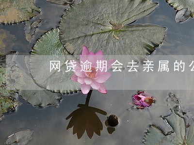 网贷逾期会去亲属的公司吗 网贷逾期会去亲属的公司吗
