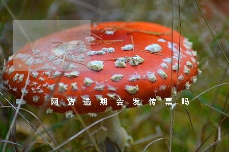 网贷逾期会发传票吗 网贷逾期会发传票吗