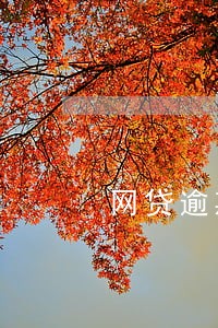 网贷逾期会发信息到钉钉吗 网贷逾期会发信息到钉钉吗