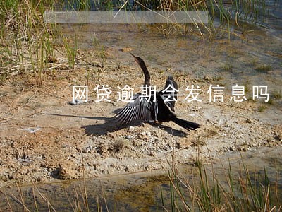 网贷逾期会发信息吗 网贷逾期会发信息吗