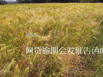 网贷逾期会发催告函吗