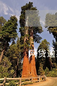 网贷逾期会发到单位吗 网贷逾期会发到单位吗